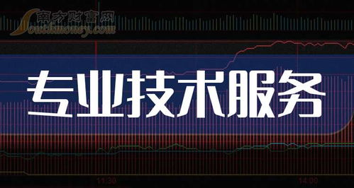 2025年12月31日全球領(lǐng)先的專業(yè)技術(shù)服務(wù)公司盤點(diǎn) 技術(shù)服務(wù)與技術(shù)開發(fā)雙輪驅(qū)動(dòng)